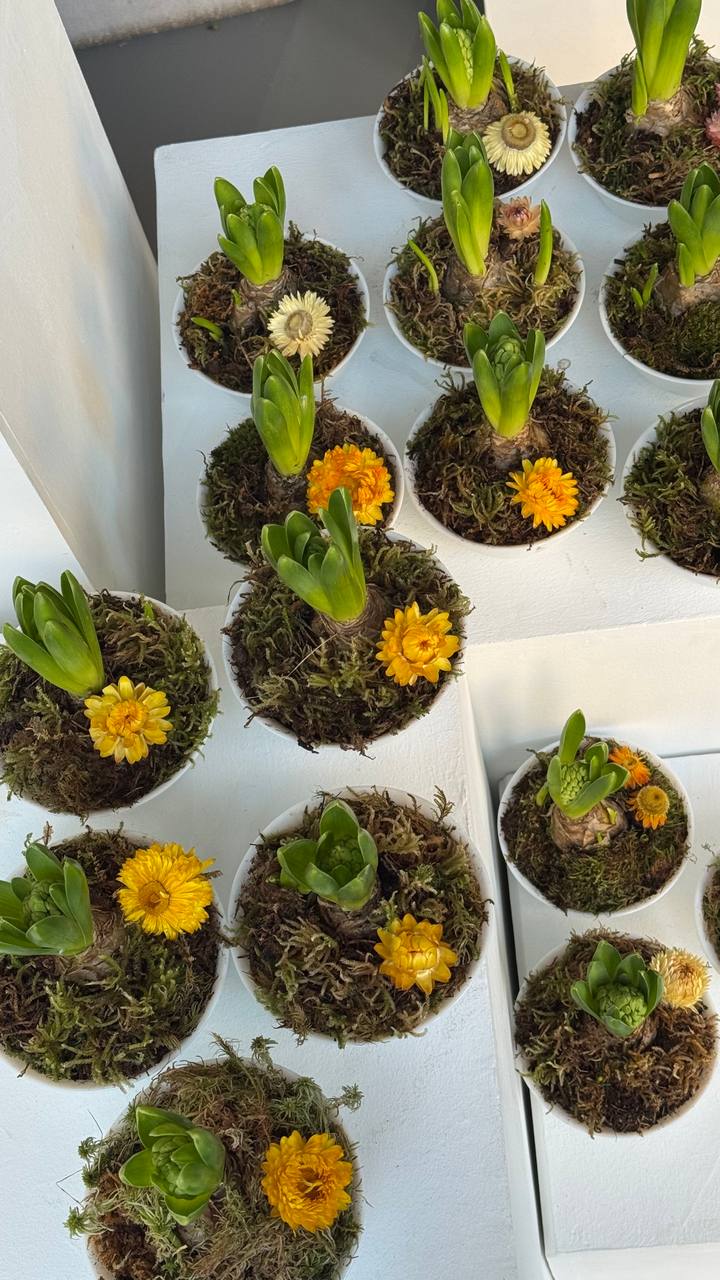 Пасха, фото 3