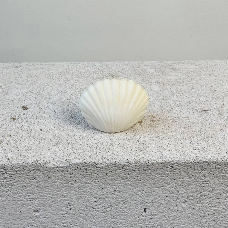 свічка shell