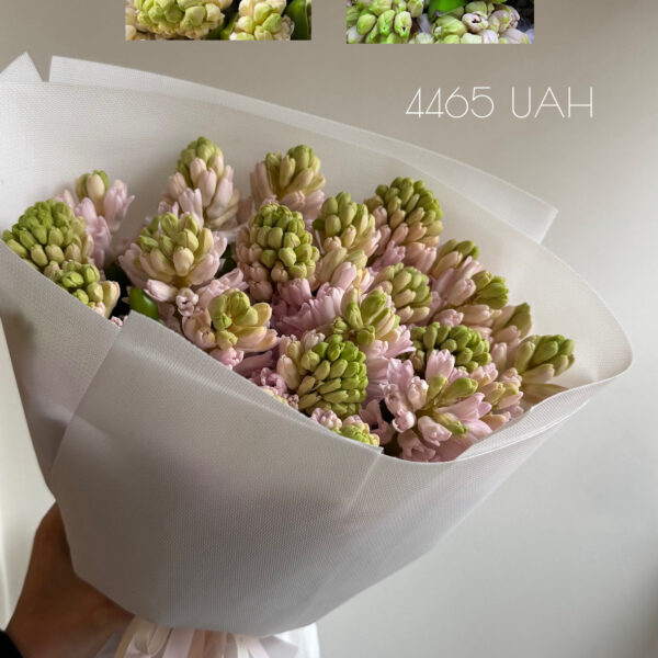 Колекція 8 березня 24