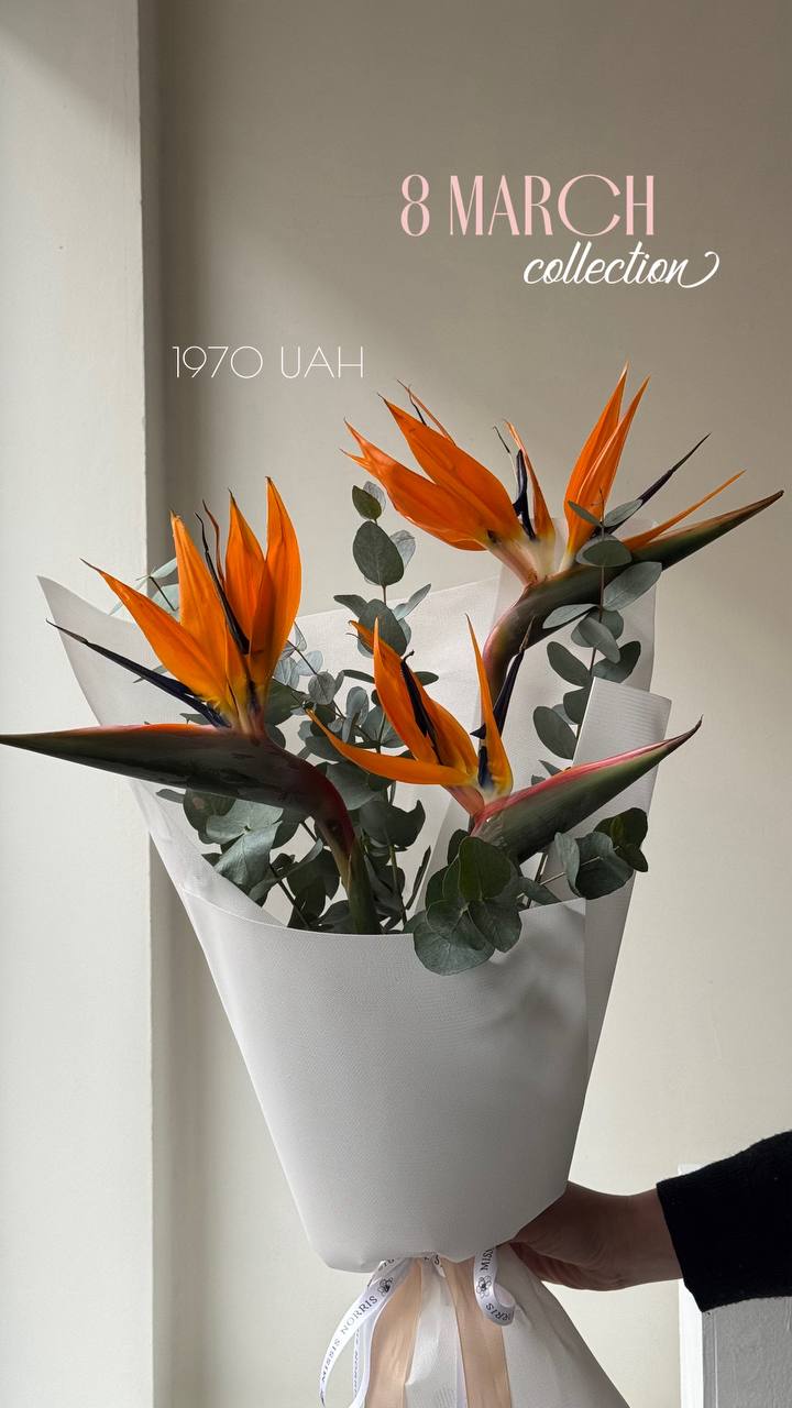 Колекція 8 березня 01