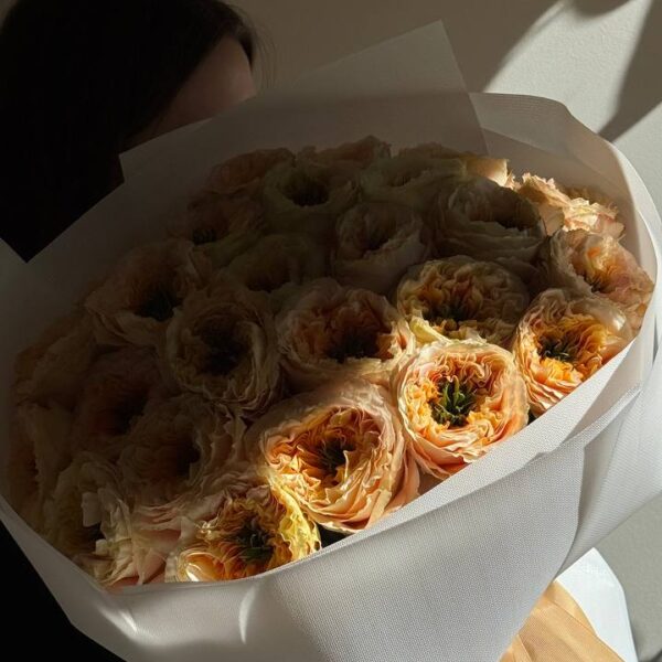 Монобукет з троянди Melon X-pression