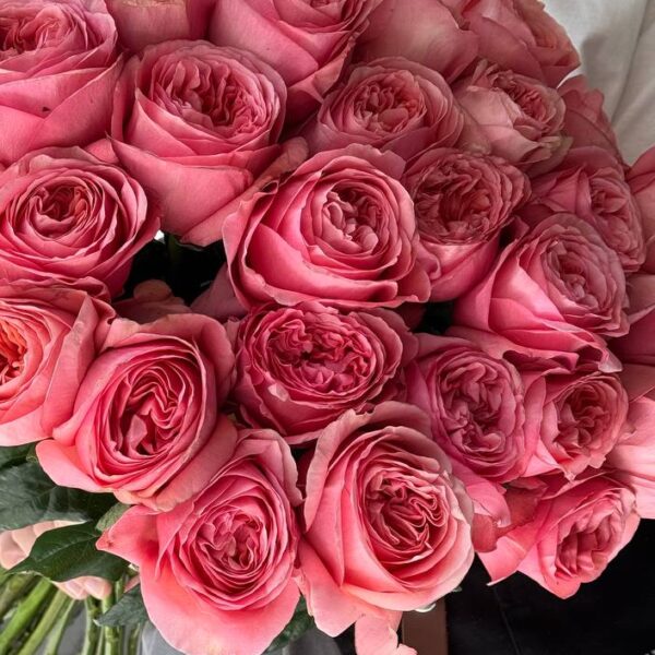 Монобукет з трояндою X-pression