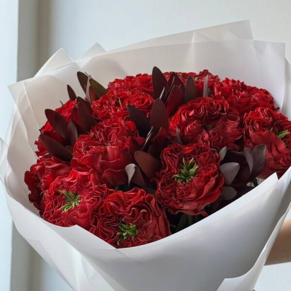 Троянда Red Monster