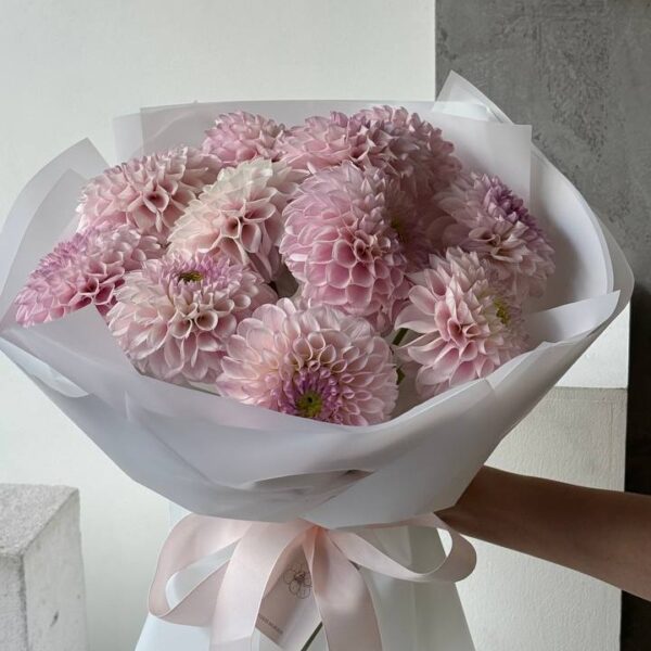 Монобукет з 11 жоржин