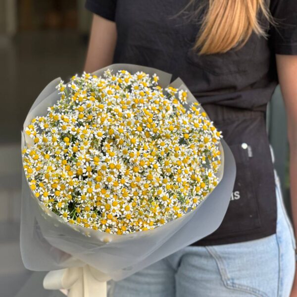 Монобукет з запашної ромашки