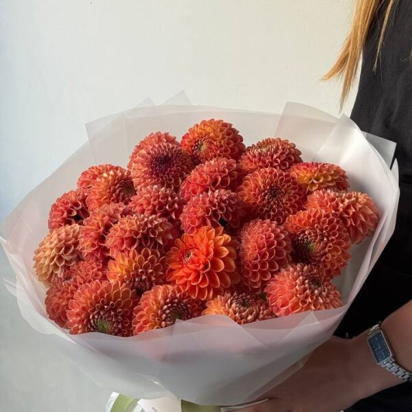 Монобукет з 25 жоржин