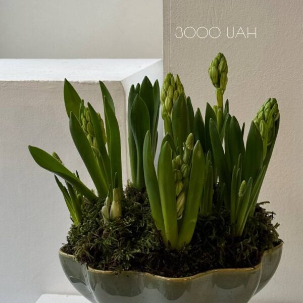 Колекція 8 березня 09