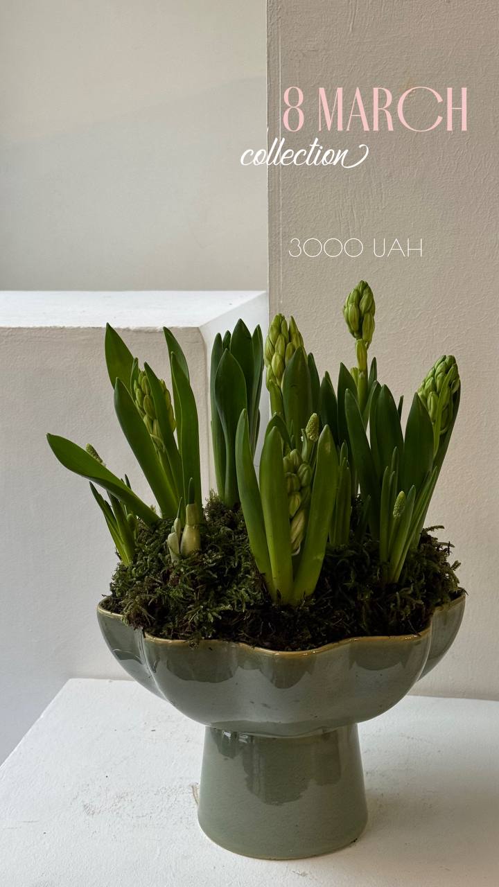 Колекція 8 березня 09