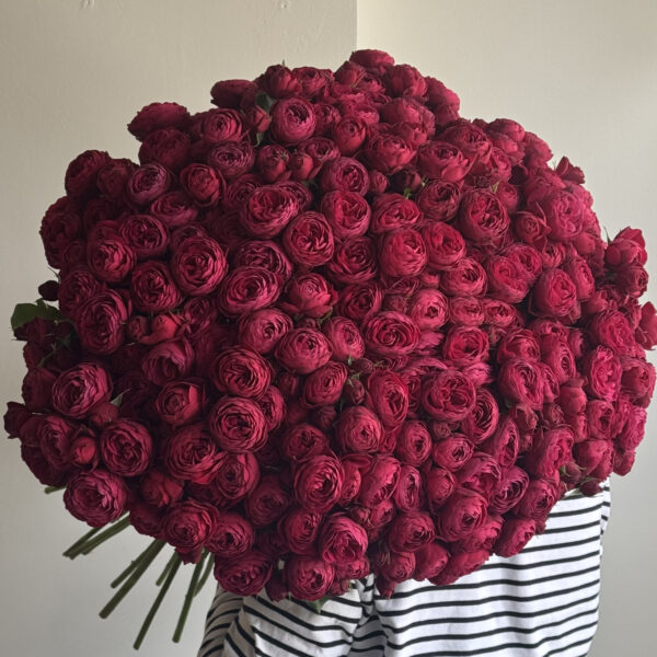 Монобукет з червної троянди 51 шт.